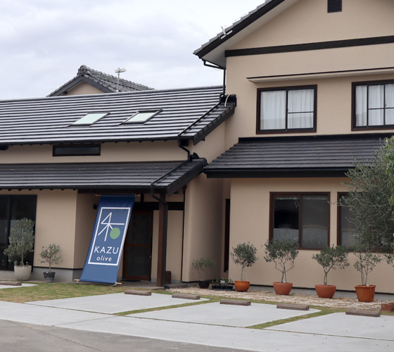 オリーブショップ